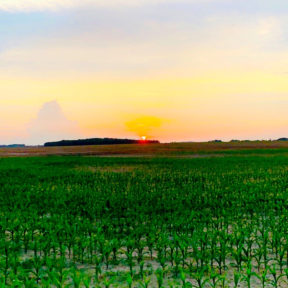 Meet your Posher, Shawna